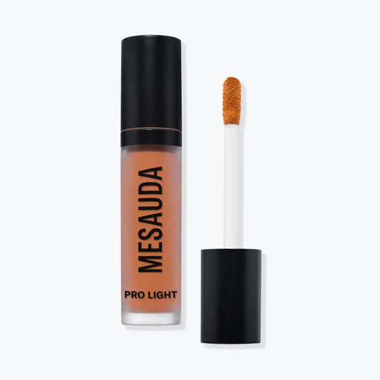 PRO LIGHT CONCEALER P01