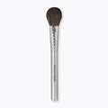 PENNELLO BLUSH F06 Pointed Powder